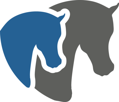 icone-chevaux